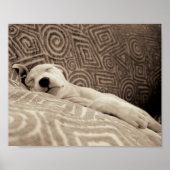 A Tired Dog Poster (Vorne)