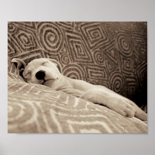 A Tired Dog Poster (Vorne)