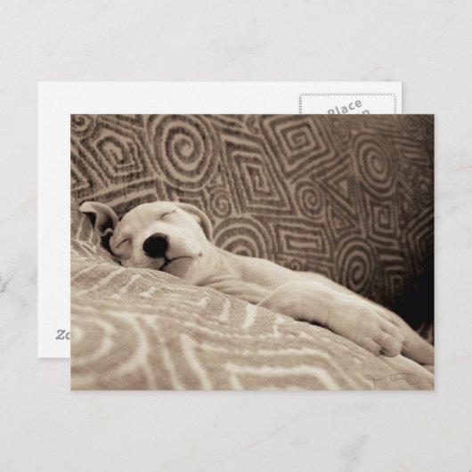 A Tired Dog Postkarte (Vorne/Hinten)