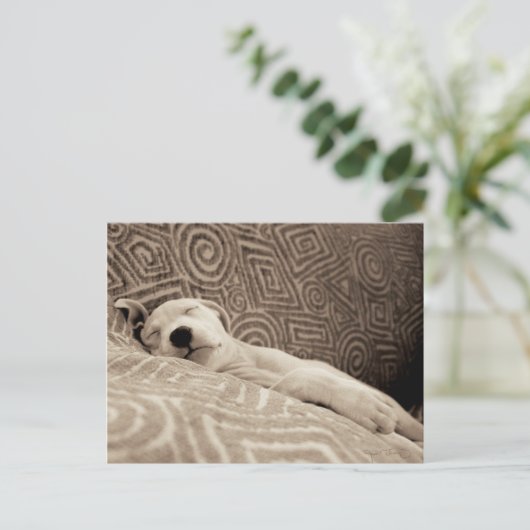 A Tired Dog Postkarte (Stehend Vorderseite)