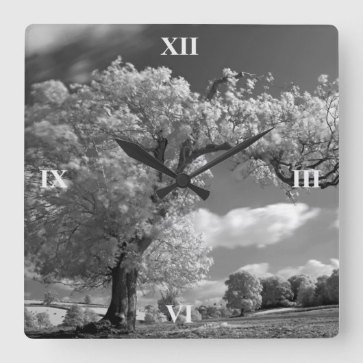 A Tree Blows in the Wind Quadratische Wanduhr (Vorderseite)