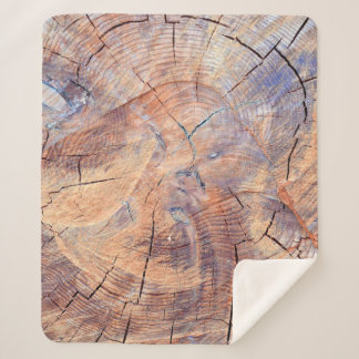 A tree in a cut. Logs lumber in the woods. Texture Sherpadecke