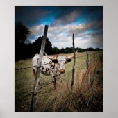 A True Texas Longhorn Poster (Vorne)