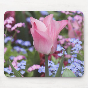 A tulip at Luxembourg Gardens, Paris, France Mousepad