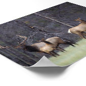 A und Sein Harem Poster (Ecke)