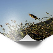 A US Air Force C-17 Globemaster III 2 Fotodruck (Ecke)