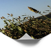 A US Air Force C-17 Globemaster III 2 Poster (Ecke)