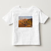 A Utah Juniper Juniperus osteosperma) Baum in 2 Kleinkind T-shirt (Vorderseite)