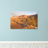 A Utah Juniper Juniperus osteosperma) Baum in 2 Leinwanddruck (Insitu (Holzboden))