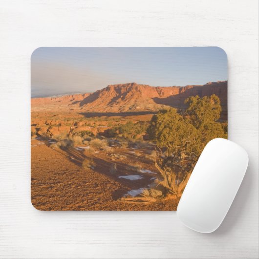 A Utah Juniper Juniperus osteosperma) Baum in 2 Mousepad (Mit Mouse)