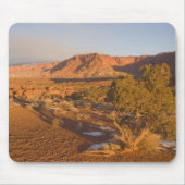 A Utah Juniper Juniperus osteosperma) Baum in 2 Mousepad (Vorne)