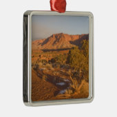 A Utah Juniper Juniperus osteosperma) Baum in 2 Silbernes Ornament (Rechts)