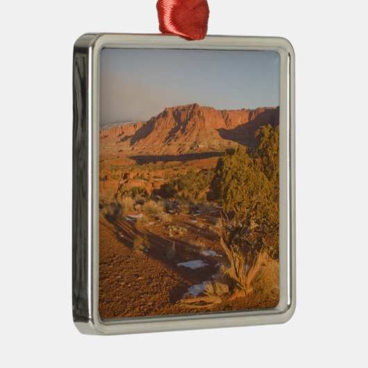 A Utah Juniper Juniperus osteosperma) Baum in 2 Silbernes Ornament (Rechts)