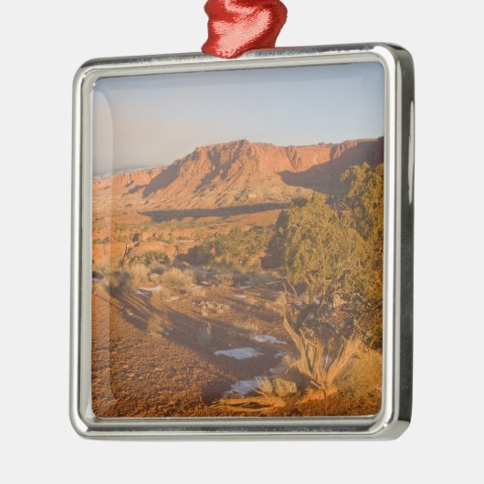 A Utah Juniper Juniperus osteosperma) Baum in 2 Silbernes Ornament (Links)