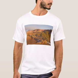 A Utah Juniper Juniperus osteosperma) Baum in 2 T-Shirt