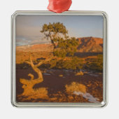 A Utah Juniper Juniperus osteosperma) Silbernes Ornament (Vorne)