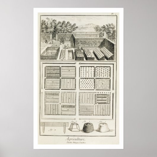 A vegetable garden, from 'The Encyclopedia of Scie Poster (Vorne)