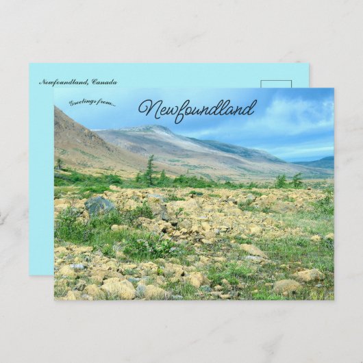 A View of Newfoundland Postkarte (Vorne/Hinten)