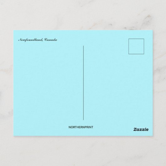 A View of Newfoundland Postkarte (Rückseite)