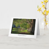 A Walk In The Park - General Congratulations Karte (Gelbe Blume)