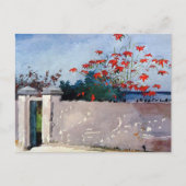 A Wall Nassau Winslow Homer Postkarte (Vorderseite)