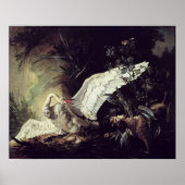 A Water Spaniel Poster (Vorne)