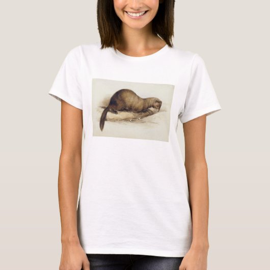 A Weasel, 1832 (w/c, Pen, Tinte, Gouache und Kaugu T-Shirt (Vorderseite)