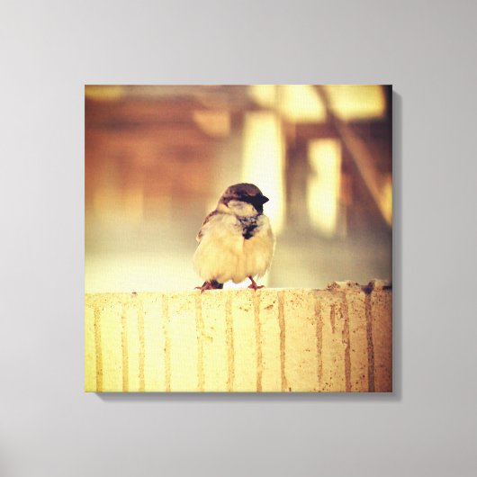 A Wee Sparrow Leinwanddruck (Vorderseite)