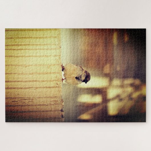 A Wee Sparrow Puzzle (Horizontal)