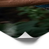 A Whisper of Romance Poster (Ecke)