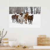 A winter scenic of running horses on The 2 Poster (Küche)