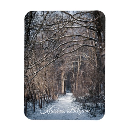 A Winters Day in Kluisbos Belgium Magnet (Vertikal)