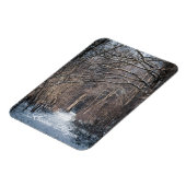 A Winters Day in Kluisbos Belgium Magnet (Linke Seite)