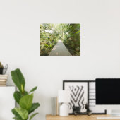 A wooden path through the rainforest in warped poster (Heimbüro)