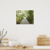 A wooden path through the rainforest in warped poster (Küche)