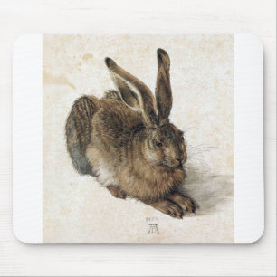 A Young Hair - Albrecht Durer - c1502 Mousepad