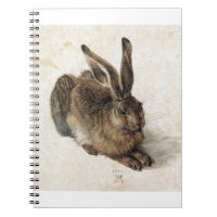 A Young Hair - Albrecht Durer - c1502