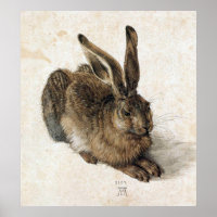 A Young Hare - Albrecht Durer - c1502