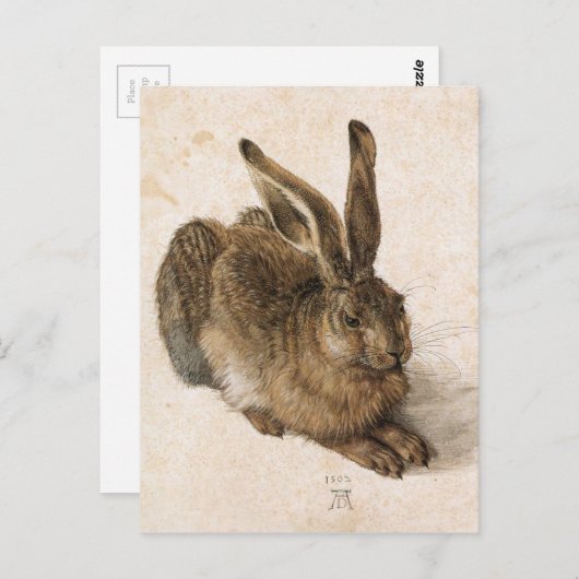 A Young Hare by Albrecht Durer Postkarte (Vorne/Hinten)