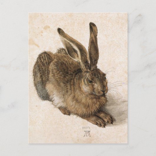 A Young Hare by Albrecht Durer Postkarte (Vorderseite)