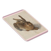 A Young Hare Magnet (Rechte Seite)