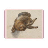 A Young Hare Magnet (Horizontal)