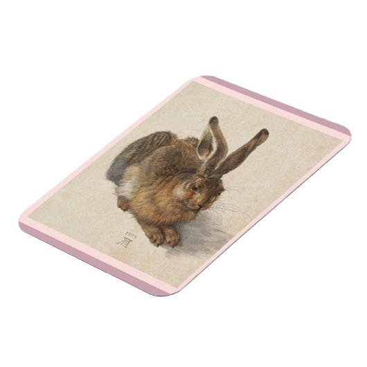 A Young Hare Magnet (Linke Seite)