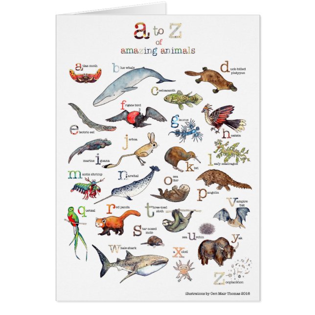 A-Z der fantastischen Tiere (Vorne)