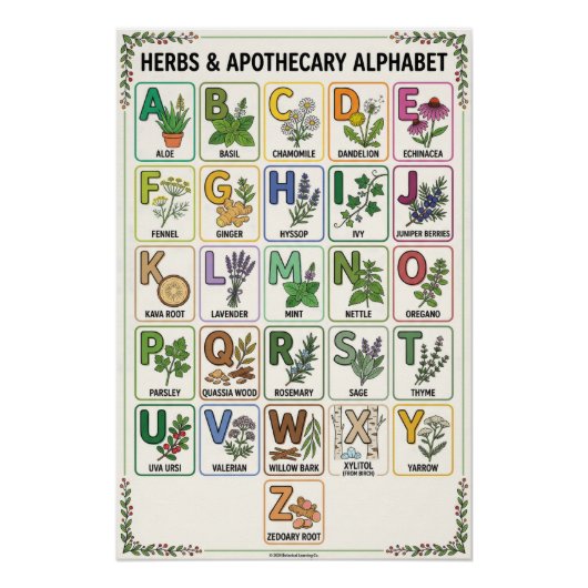 A - Z Kräuter & Apotheke Alphabet Poster (Vorderseite)