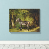 A Zebra, 1763 (Öl auf Leinwand) Leinwanddruck (Insitu (Holzboden))