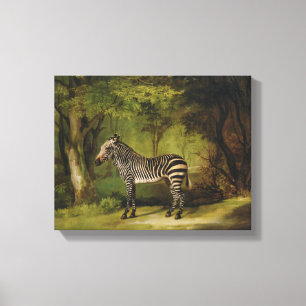 A Zebra, 1763 (Öl auf Leinwand) Leinwanddruck