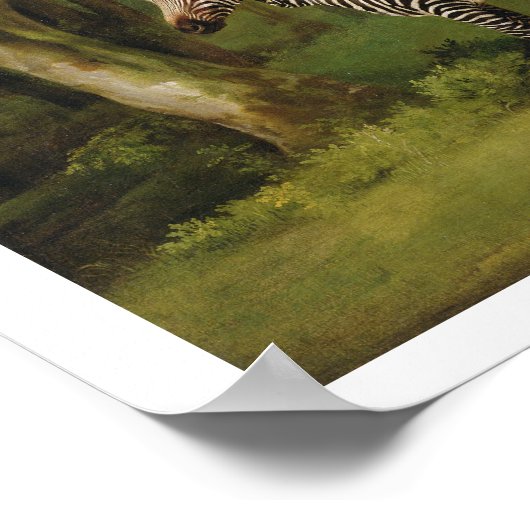 A Zebra, 1763 (Öl auf Leinwand) Poster (Ecke)