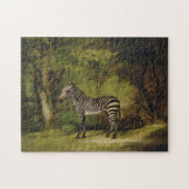 A Zebra, 1763 (Öl auf Leinwand) Puzzle (Horizontal)