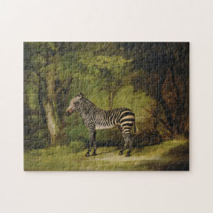 A Zebra, 1763 (Öl auf Leinwand) Puzzle